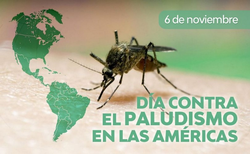 78986-argentina-fue-declarada-libre-de-paludismo-en-el-2019