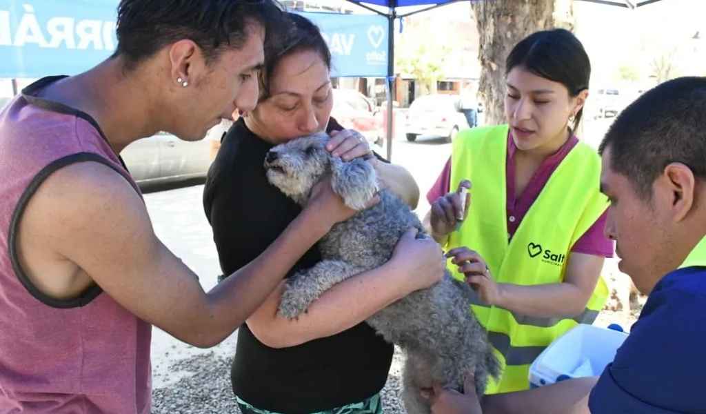 ¡Cuidá a tu mascota! Se vacunará contra la rabia en los barrios  Castaños, 17 de Mayo, Pablo Saravia y A. Saravia