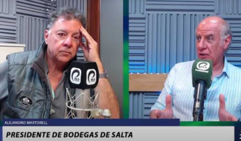 La vitivinicultura salteña en crisis por la presión fiscal y la caída del consumo: "Tienen una carga impositiva total del 63%"
