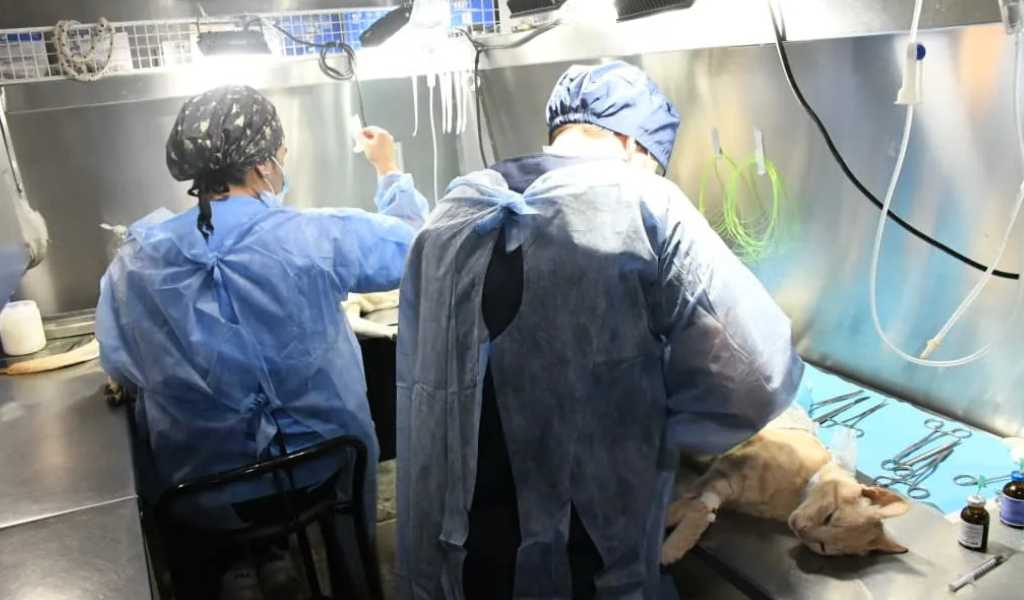 ¡Atención vecinos! El Móvil de Castración atenderá en los barrios Primera Junta, Solidaridad y Justicia a partir del lunes 10 de noviembre