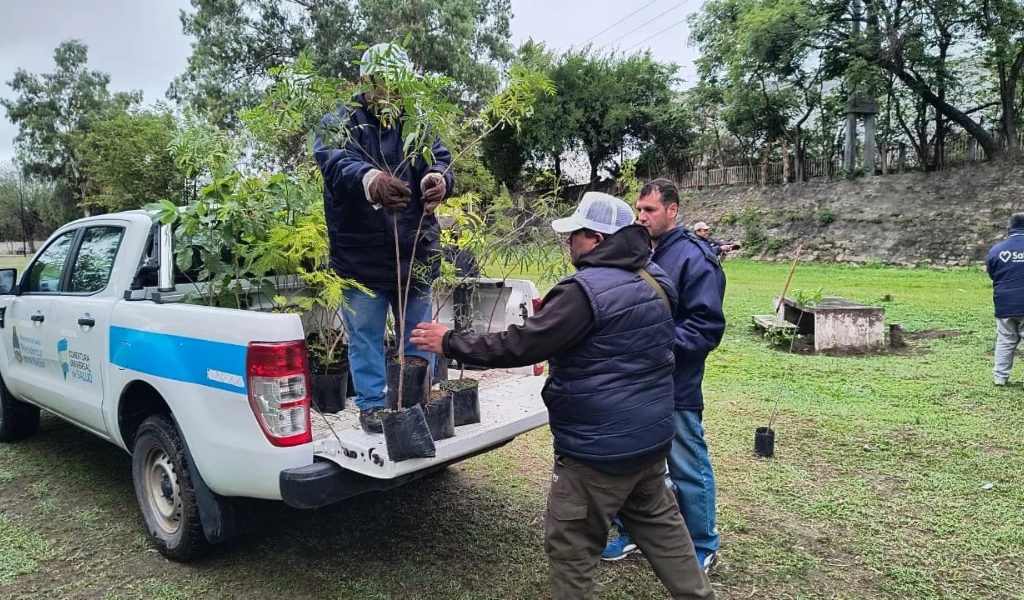 Colocaron más de 200 árboles en el Ecoparque y en el parque Los Sauces