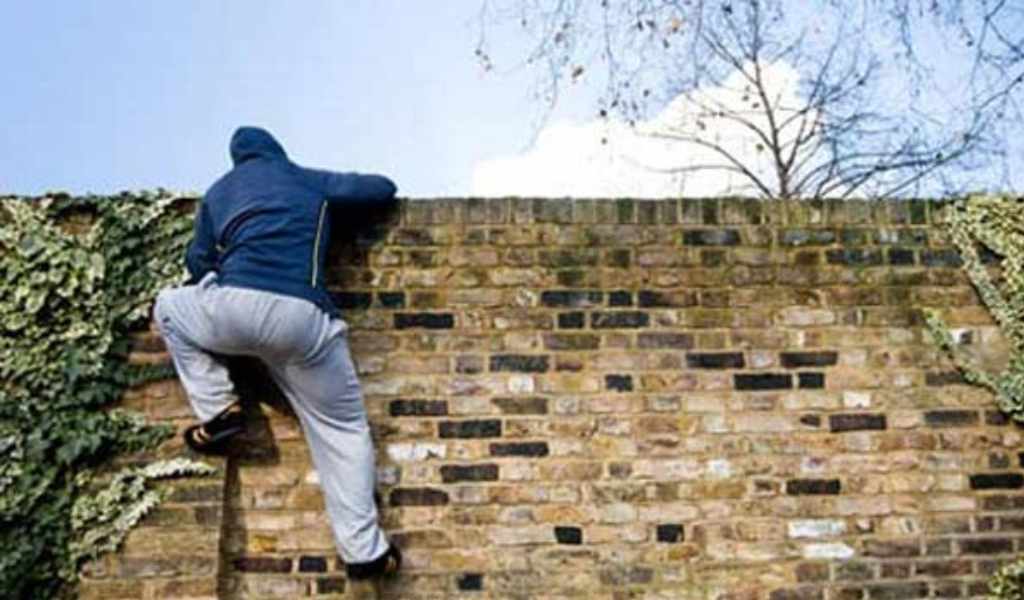 Insólito: Un vecino de un barrio de la capital salteña descubrió a un ladrón que se quedó dormido en el fondo de su casa