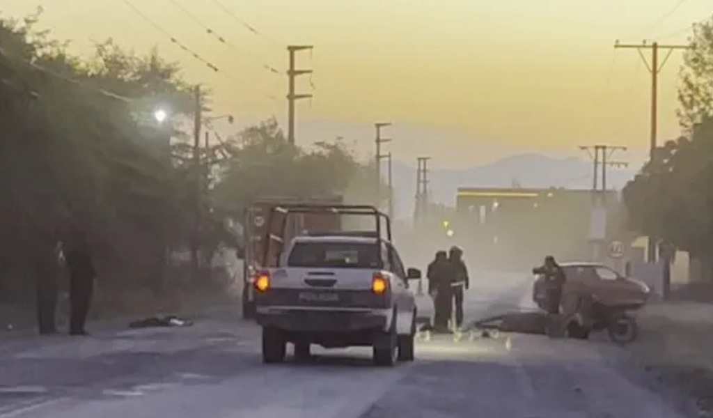 Los animales sueltos sigue causando tragedias en las rutas salteñas: "Hay que sancionar fuertemente a quien lo deja suelto en la vía pública"