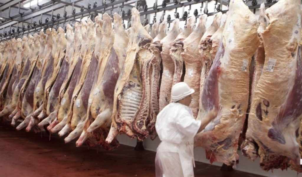 Estados Unidos bajó las expectativas: Funcionaria de Trump asegura que comprará “poca carne argentina”