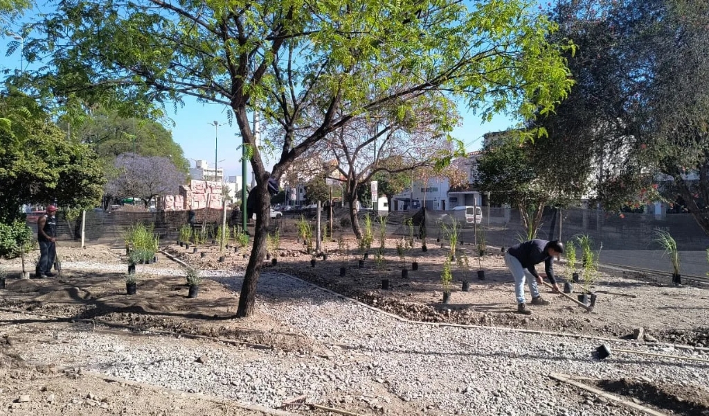 Respete las señales: Están recuperando los espacios verdes en la avenida San Martín
