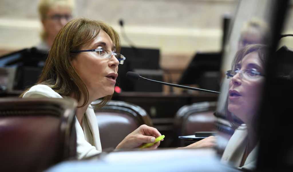 "Alta coimera, Karina es alta coimera". Una senadora entonó una canción contra la hermana del presidente en plena sesión ¿No es mucho?