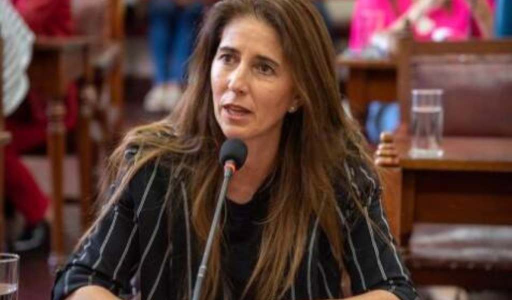 “El kirchnerismo está destruyendo al PJ y la gente ya no lo quiere más”, afirmó la diputada Villamayor