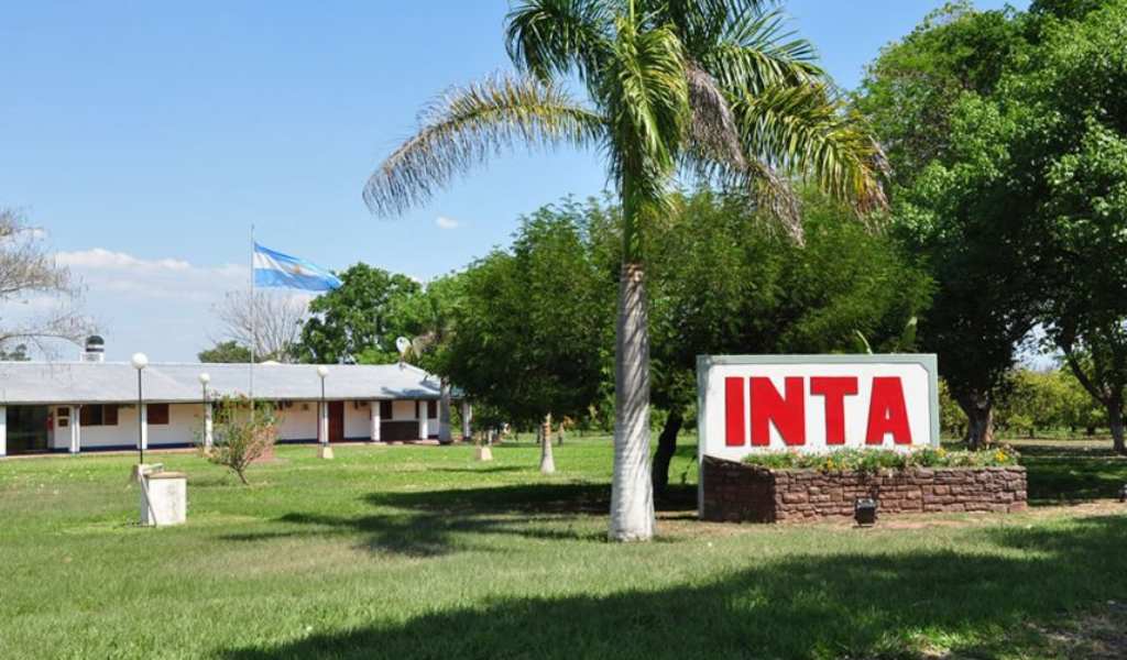 En Salta el IPV proyecta construir viviendas en las 42 hectáreas que eran del INTA