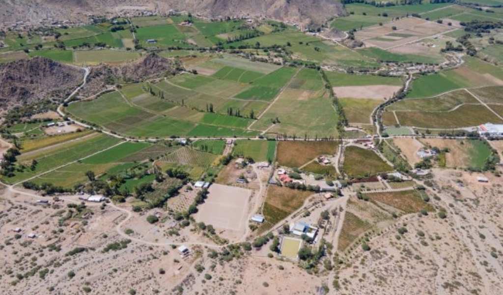 San Carlos y Molinos son dos departamentos que tienen casi el 60% de sus campos en manos extranjeras