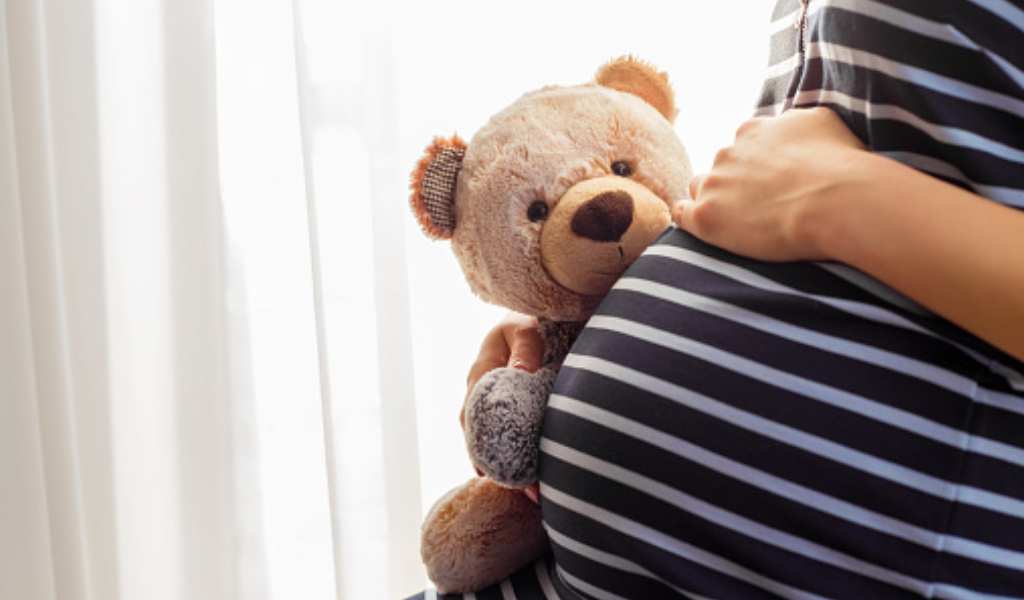 Diputados salteños piden que Nación envíe los fondos para prevenir los embarazos adolescentes
