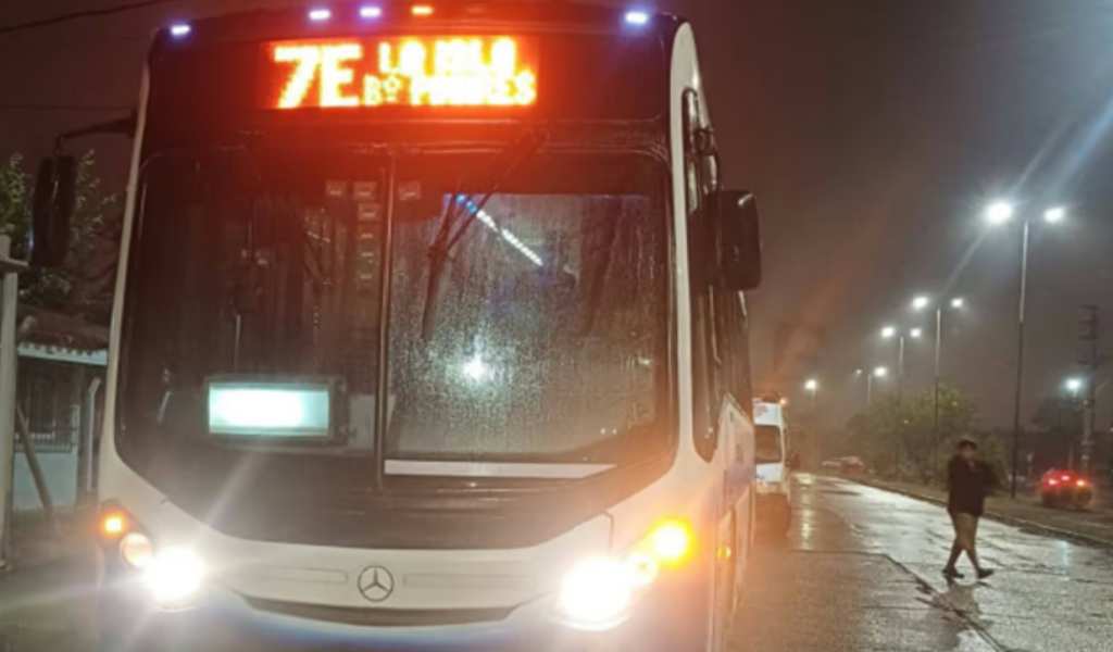 Una mujer falleció tras sufrir una descompensación dentro de un colectivo de SAETA