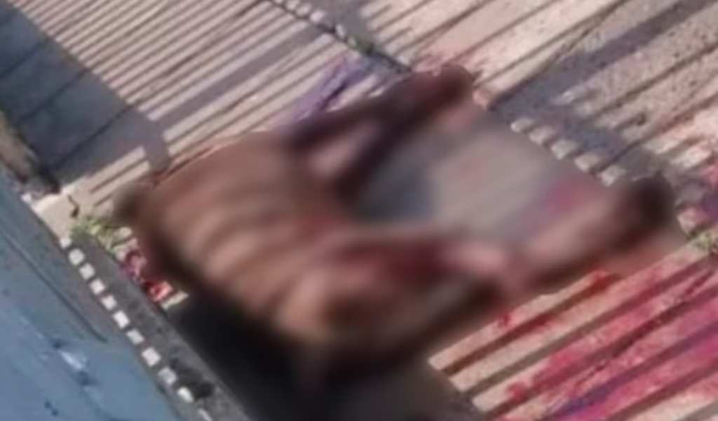 Atrocidad en una localidad del sur de Salta: Le disparó en la cabeza a un perro porque "le molestaba" y terminó preso