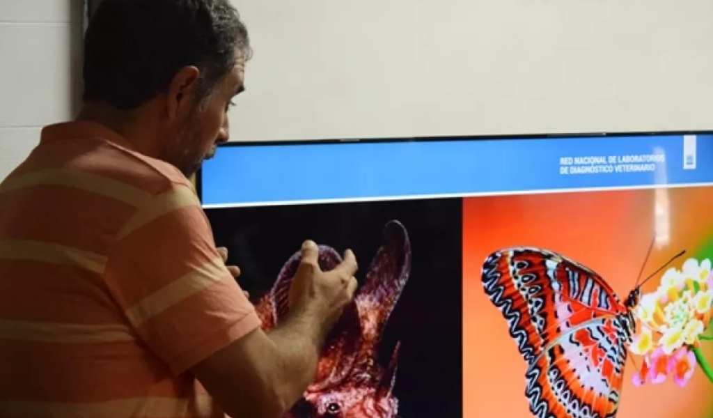 Encendiendo la chispa: Científicos del CONICET, INTA y UNSa llevan la chispa de la ciencia a las escuelas de Salta