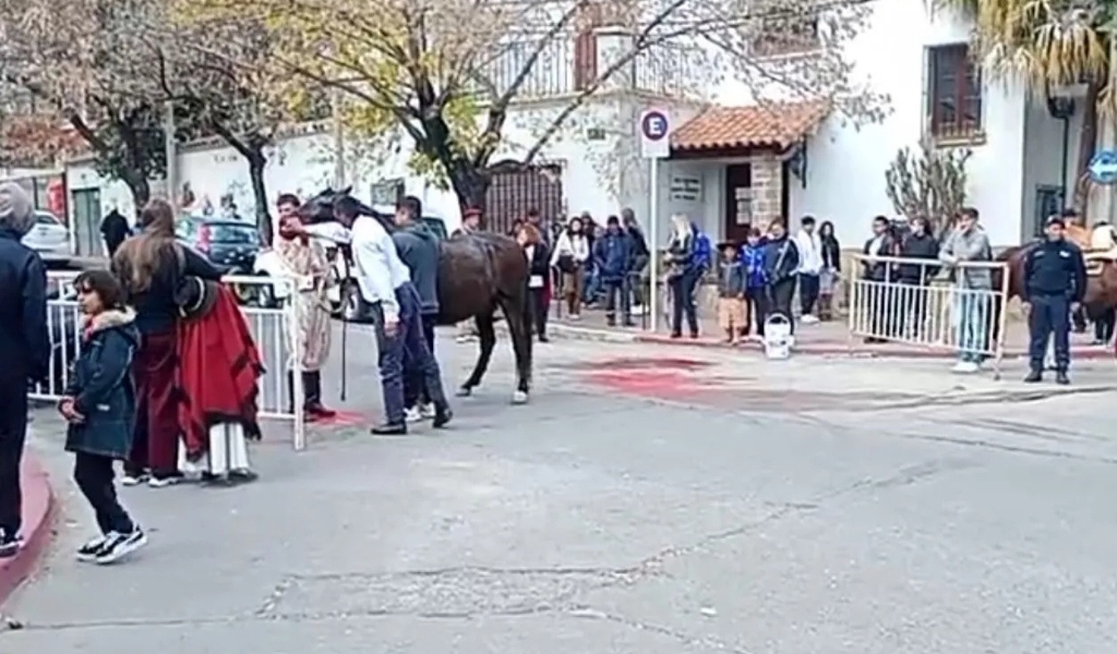 La muerte de "Chuequito" desata protesta en Salta por el maltrato equino en desfiles
