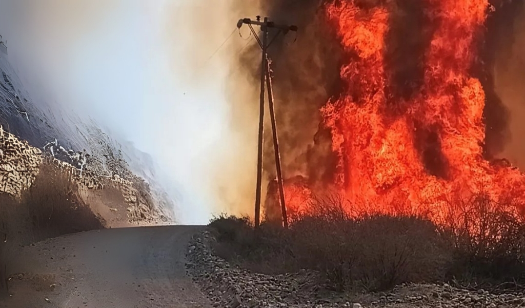 Una mujer fue la causante de iniciar un incendio de pastizales y daños a postes eléctricos en Molinos
