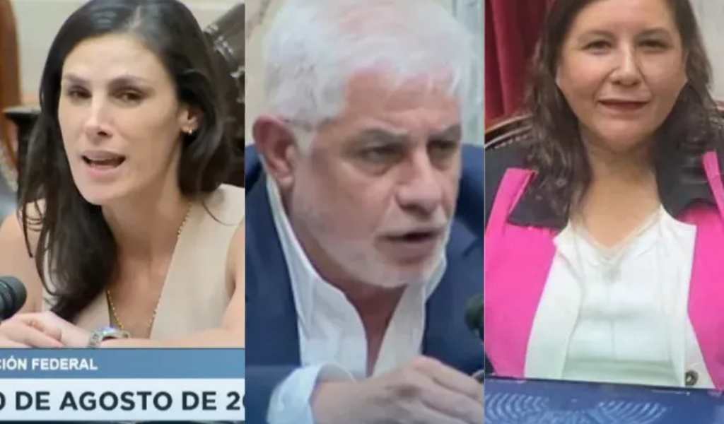 Los diputados nacionales saencistas votaron en defensa de los jubilados y personas con discapacidad