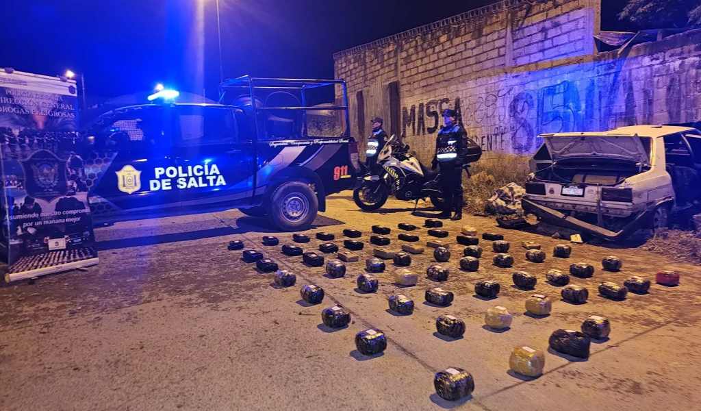 Cifra record: Más de 850 kilos de droga fueron incautados en lo que va del 2025