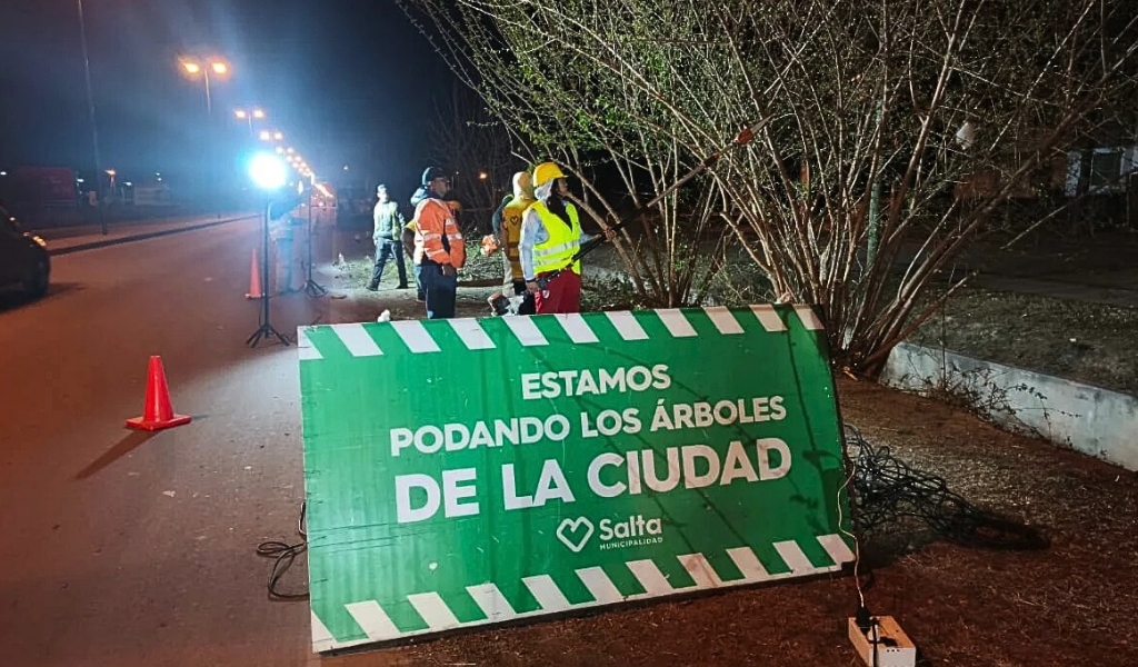 Se continúa con la poda nocturna en diferentes avenidas de barrios de la capital salteña