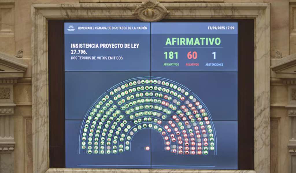 Contundente rechazo a los vetos de Milei: Diputados ratificó el financiamiento del Garrahan y las universidades