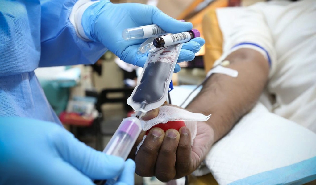 Somos un pueblo solidario: La provincia de Salta ya cuenta con más de 20 mil inscriptos en el registro de donantes de médula ósea