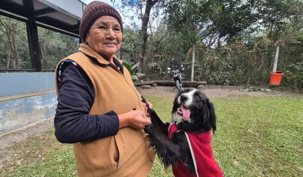 El perrito que apareció atado en la plaza 9 de Julio se reencontró con sus dueños: "Estamos muy agradecidos con la Municipalidad por rescatarlo y albergarlo"
