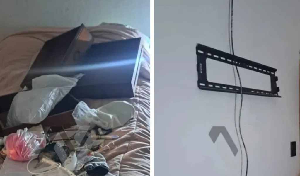 Rosario de Lerma: En un robo en El Encón los delincuentes mataron a un caniche y doparon a los otros perros de la casa