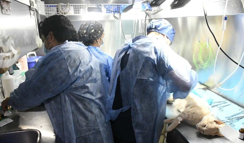 El Móvil de Castración del municipio llega a Progreso, San Silvestre, Roberto Romero y Santa Lucía