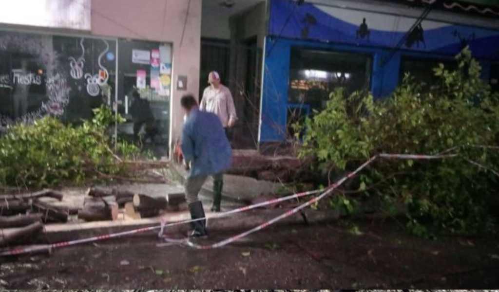 Continúan las intensa tormentas en Salta: En Metán y Lumbreras causaron inundaciones y caídas de arboles