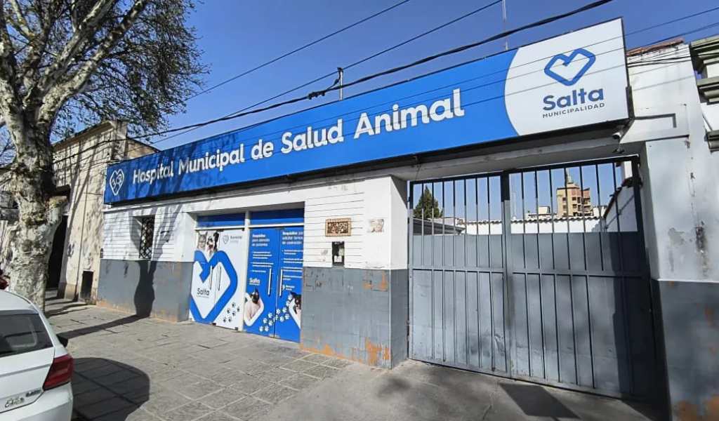 Una muy buena noticia: No se registraron atenciones por pirotecnia en el Hospital de Salud Animal durante Navidad