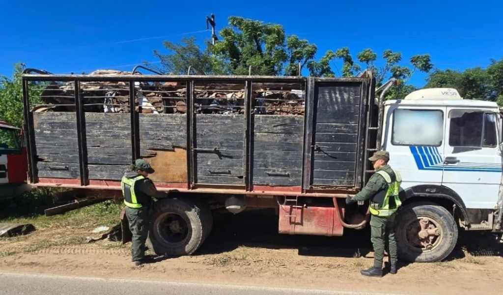 En Salta Gendarmería atrapó a una caravana de 15 camiones que llevaban de forma ilegal chatarra valuada en 200 millones