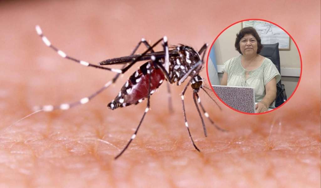 La Gerente General del Hospital  de Orán advierte: “Podríamos tener un brote de chikungunya en Orán”