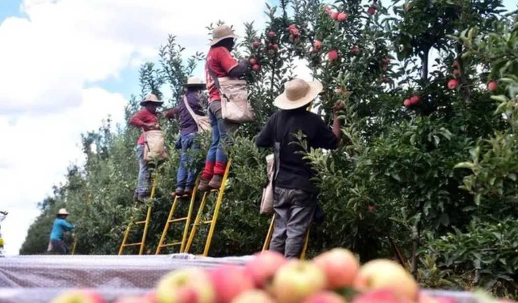 Sorpresa en Brasil por el fuerte éxodo de trabajadores argentinos: registraron casi 40.000 en 2025