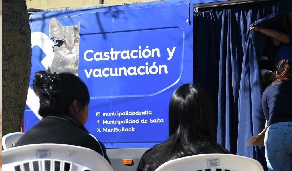 ¡Cuiden a sus mascotas! El Móvil de Castración atenderá gartuitamente en barrio Mosconi