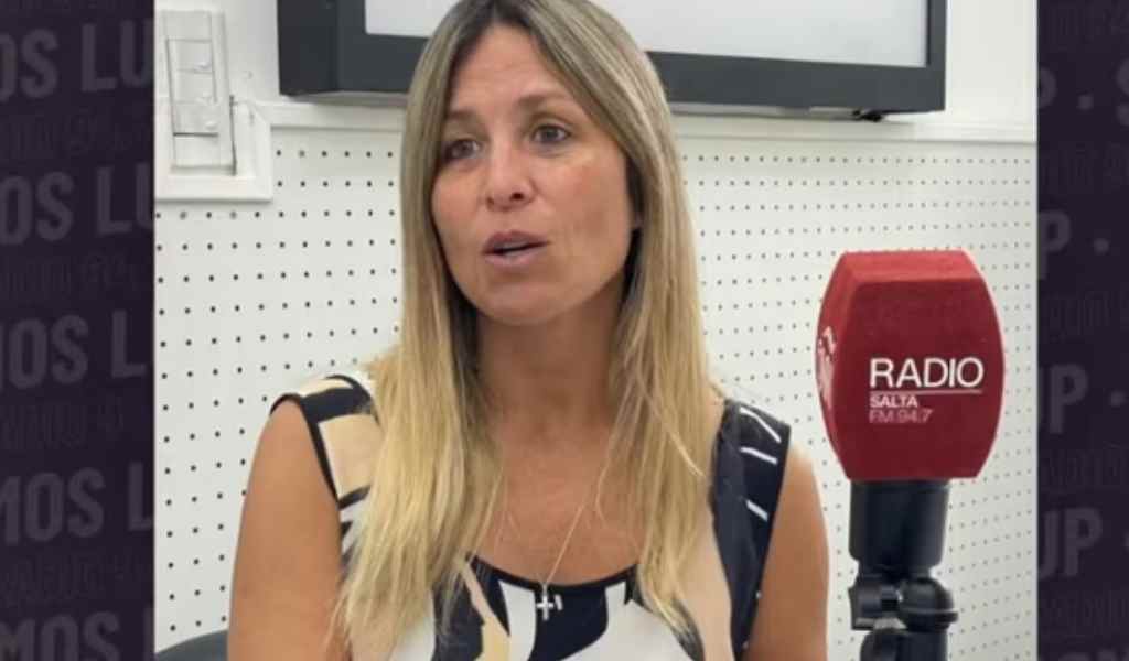 Terrible: La fiscal aseguró que "en Salta existen casos de pedofilia digital como para hacer un allanamiento semanal"