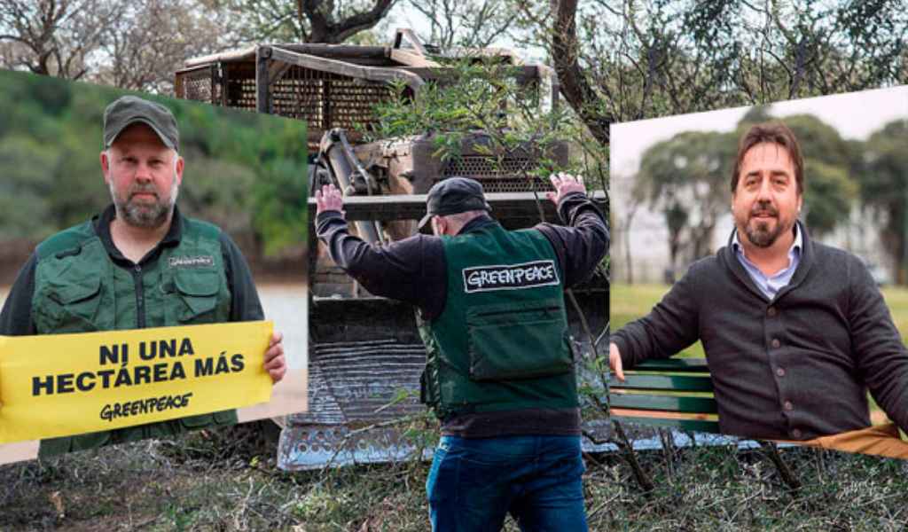 Greenpeace dice que en 2025 Santiago del Estero, Chaco, Salta y Formosa, aumentaron la deforestación