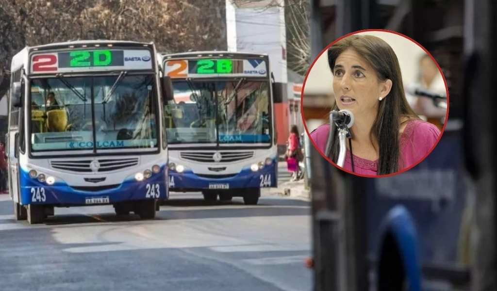 Diputados criticaron a empresarios de SAETA: “Necesitamos que se restablezca el servicio nocturno”