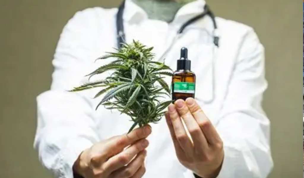 Normativa clave: Salta reglamentó el registro para autocultivadores, productores e instituciones de cannabis medicinal