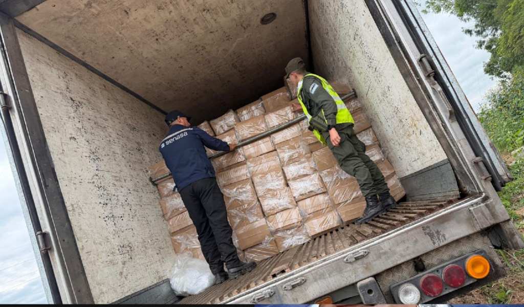 En Salta se evitó el comercio ilegal y consumo de más de 20 toneladas de pescado en estado dudoso