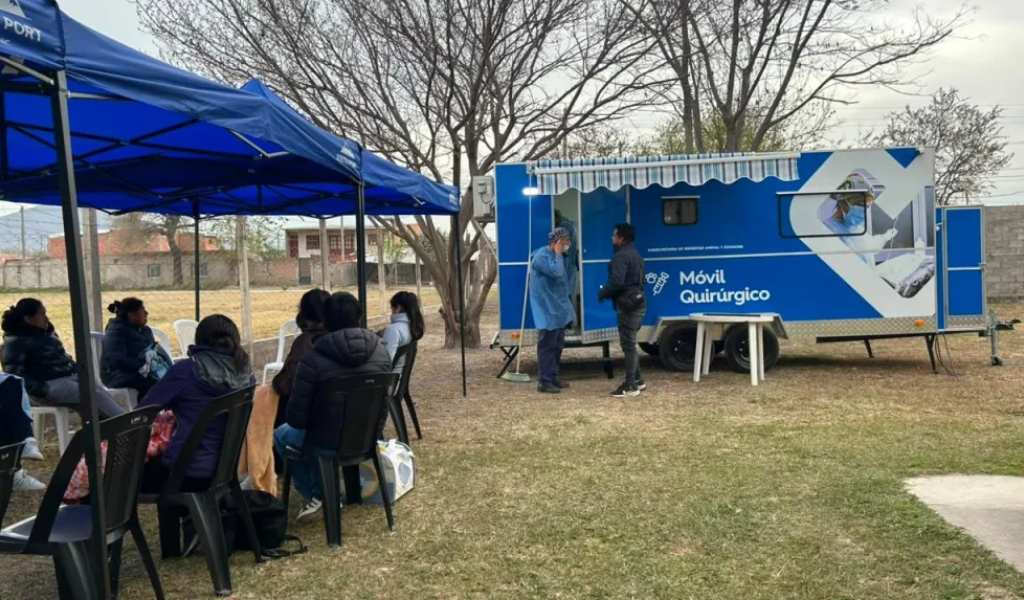 Doble operativo de castración: dos móviles del municipio  recorren diferentes puntos de la ciudad