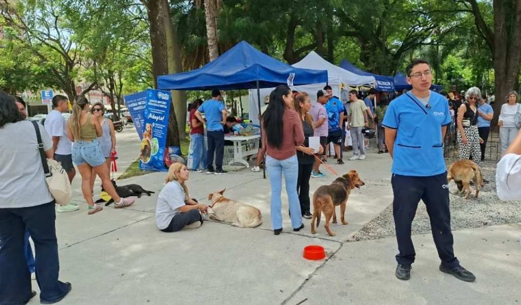 “La Muni Animal” llega a Tres Cerritos con servicios gratuitos: será este sabado 29 en la Plaza de Deportes