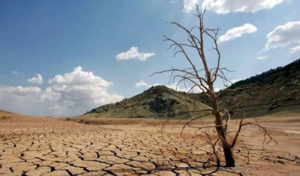 La ONU alertó sobre la duración del fenómeno El Niño: llegará hasta febrero de 2027 y será muy fuerte