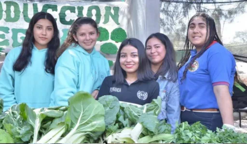 UNIDAS POR LA MISMA PASIÓN: Más de 22 escuelas técnicas de Salta participarán del Ateneo Agropecuario 2026