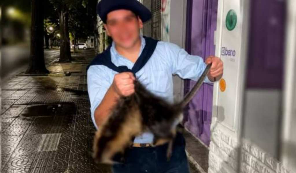 Indignante: En Bahía Blanca dos jovenes de 18 años mataron a patadas a una nutria, se filmaron y fueron denunciados