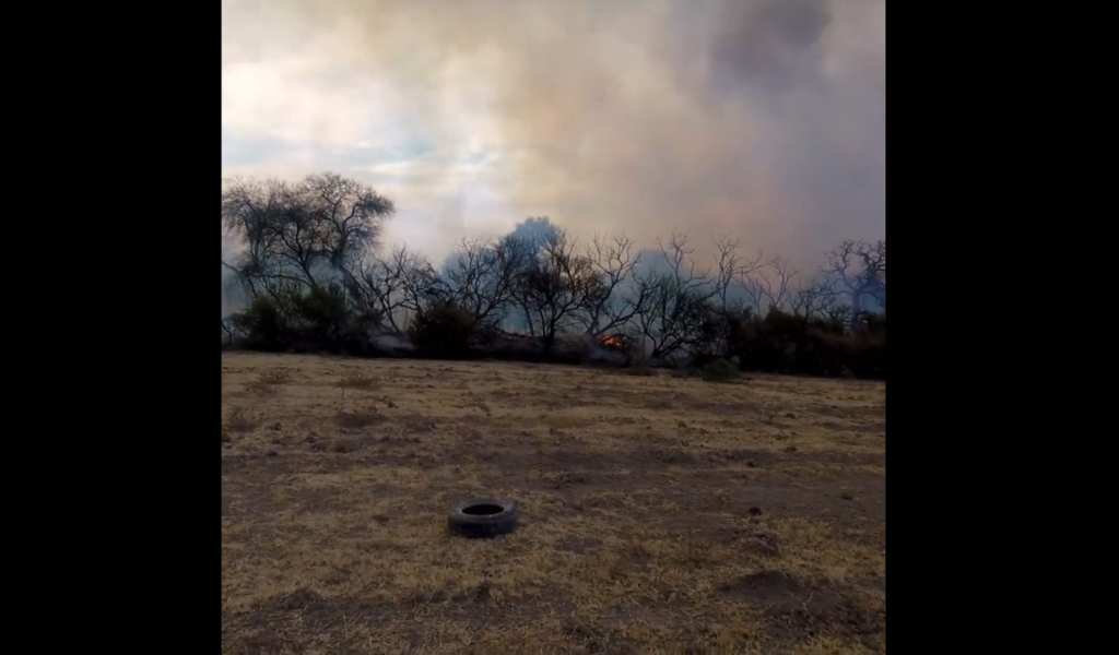 Por aire y por tierra se trabaja para controlar un gran incendio forestal en Cafayate  y que afecta a bosques nativos
