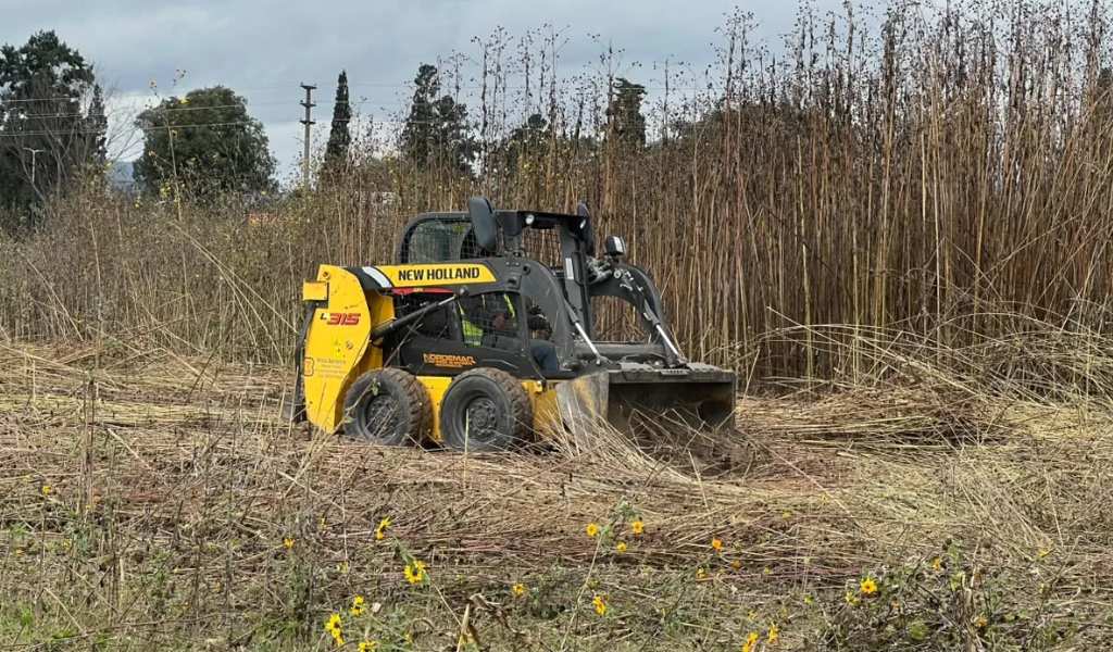 Por prevención la Municipalidad preparó zonas de cortafuego dentro del predio de la escuela Agrícola