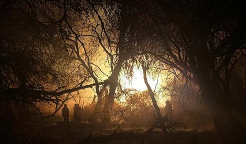 Bomberos de Cafayate piden ayuda a la comunidad tras luchar contra un incendio forestal por 3 días