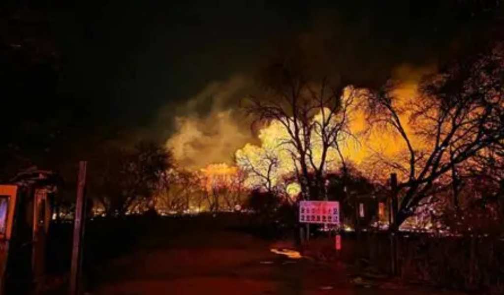 Cafayate: Un incendio forestal de gran magnitud se descontrola por la fuertes ráfagas de viento Zonda
