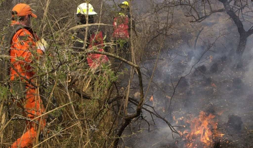 Incendios en Salta: buscan identificar a quiénes provocaron el fuego en Cafayate que arrasó 200 hectáreas de bosque nativo