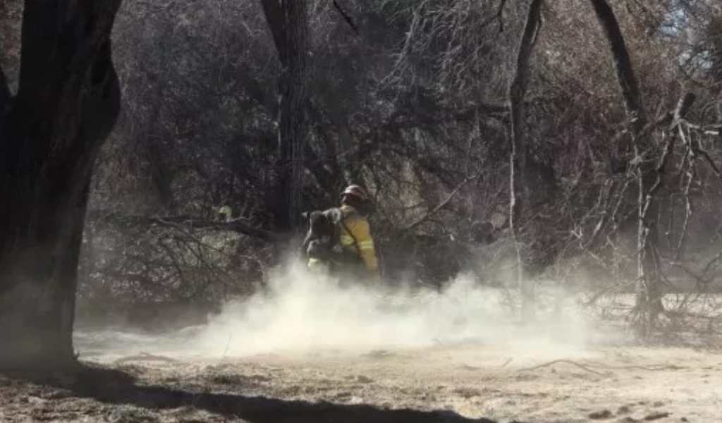 "Está controlado". Confirman que el incendio forestal en Cafayate se encuentra en la fase de contención 