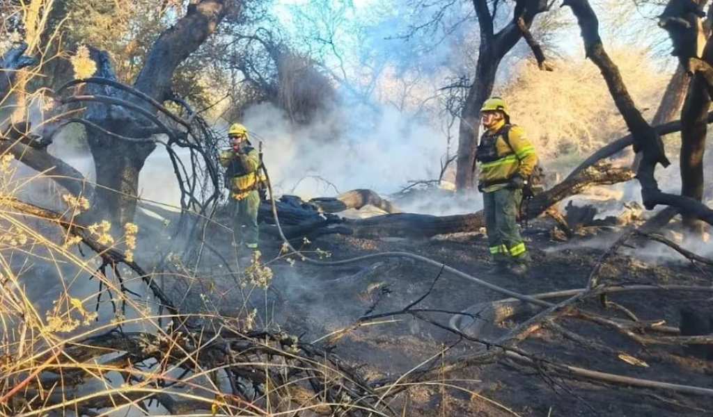 Para desalentar emprendimientos inmobiliarios: El municipio de Cafayate prohibió lotear las zonas afectadas por incendios